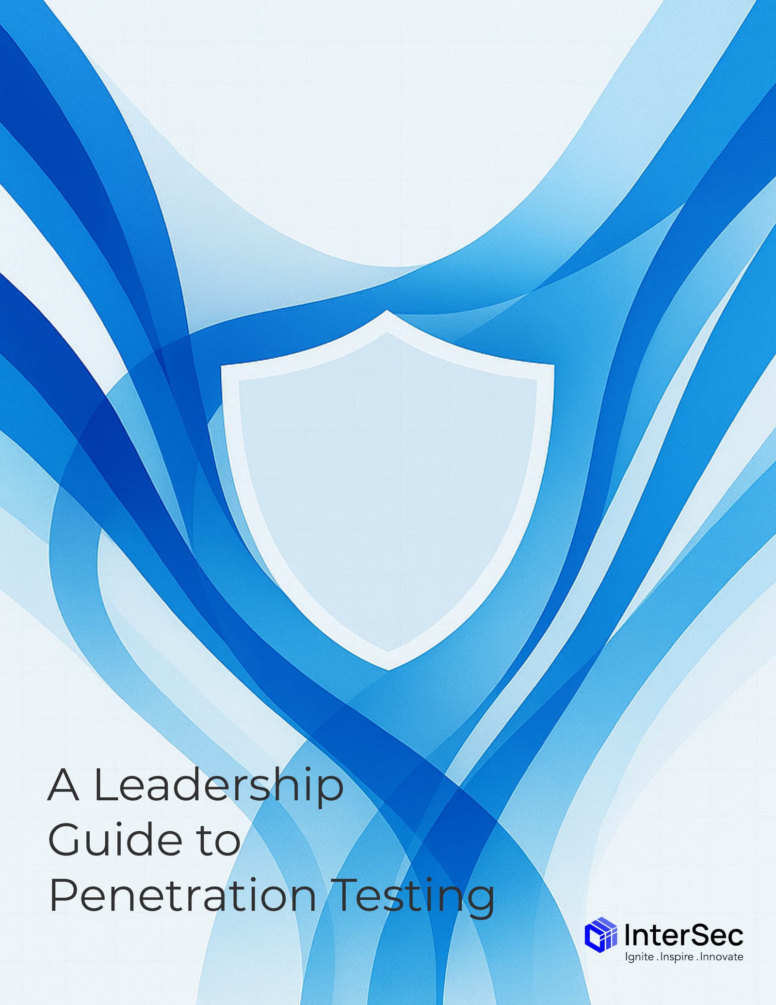 A Leadership Guide to Penetration Testing cover